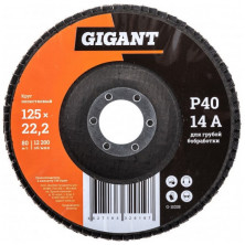 Круг лепестковый Gigant G-11035 P40 125x22,2 мм