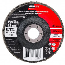 Круг лепестковый Gigant Professional GNT-P60 125х22,2 мм