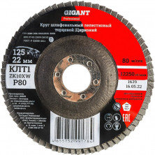 Круг лепестковый Gigant Professional GNT-P80 20743395 P80