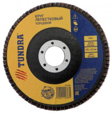 Круг лепестковый торцевой Tundra 1124383 125х22 мм